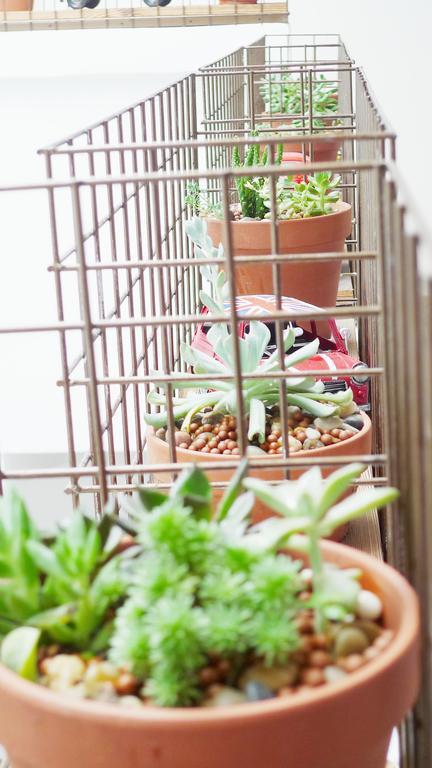 Musesun Youth Hostel 杭州 エクステリア 写真
